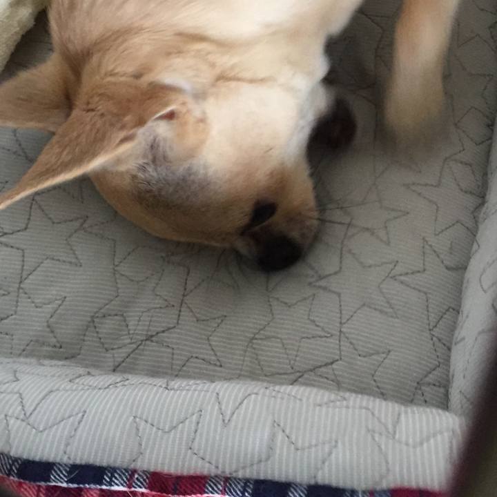 913030e9 847b 4fba a5b0 72529d348d57