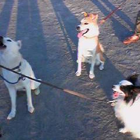 91306f98 803f 4524 b5f4 7afb47cb86f7