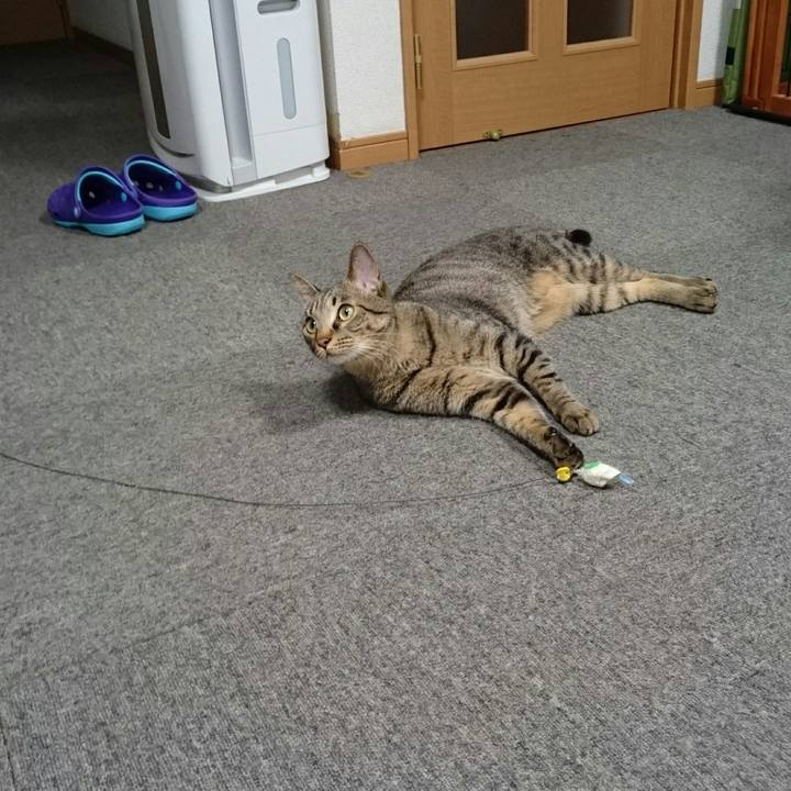 9130a83c 0397 4bf4 b051 dfaea1660fe6