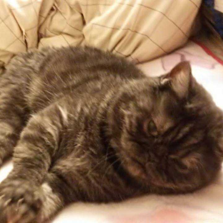 91314d60 a21d 4eeb 9a81 bd495d761885