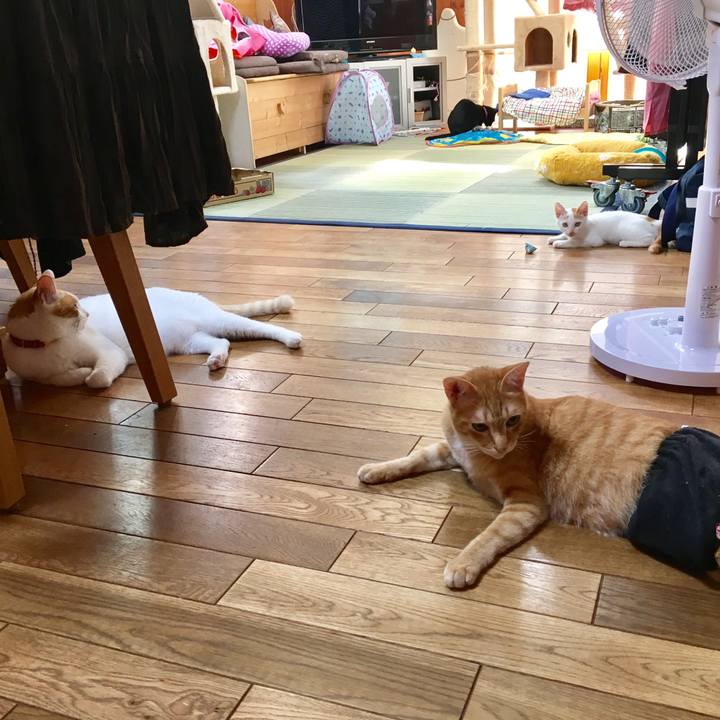 913196df 993c 455a 98f9 77acc1508db5