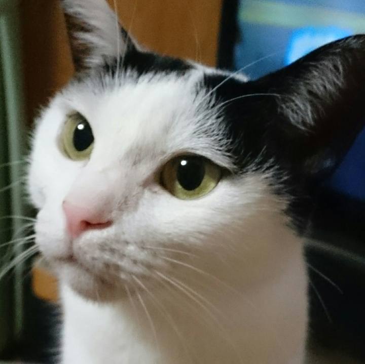 9132bd7c 3ac3 4f10 a398 13e1a8f725b1