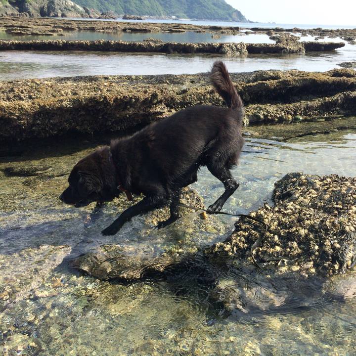 913321cf 826c 4fdc 9ae8 5f926f473122