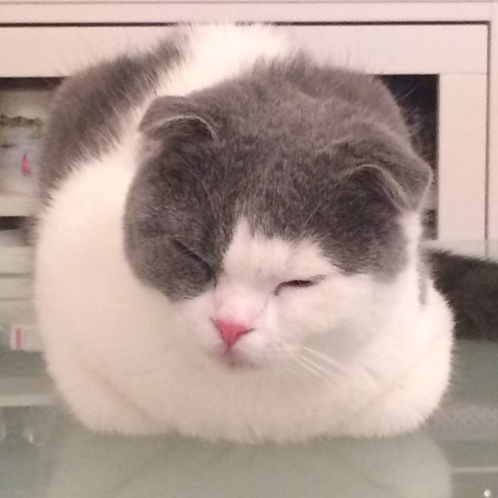 9133252b 6a6e 40f9 b03f 89e310819003