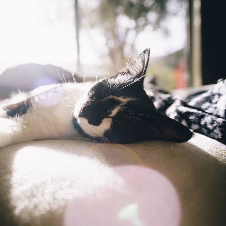 91335299 d66e 4ad6 8bbb 5620991d1fef