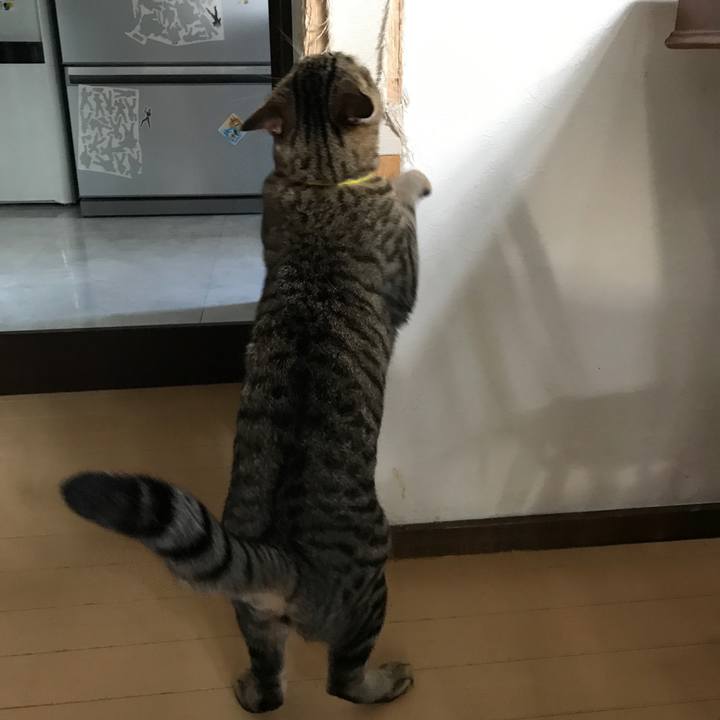 9133b090 7a0a 4036 a813 59adb76efad0