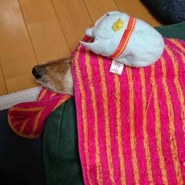 91344df3 1eda 48ef 827a 295df40f433f