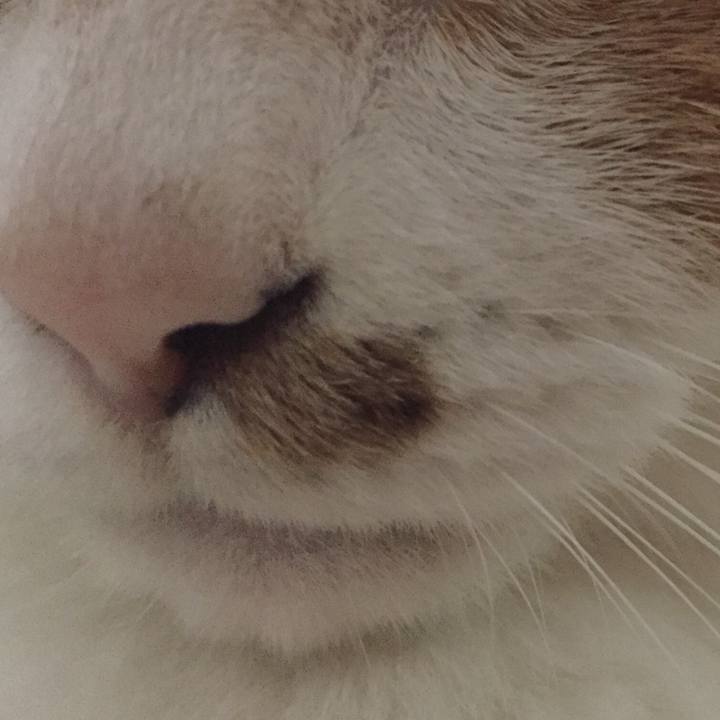 9134f9d7 3b67 4d97 97b7 e9e6d0baa414