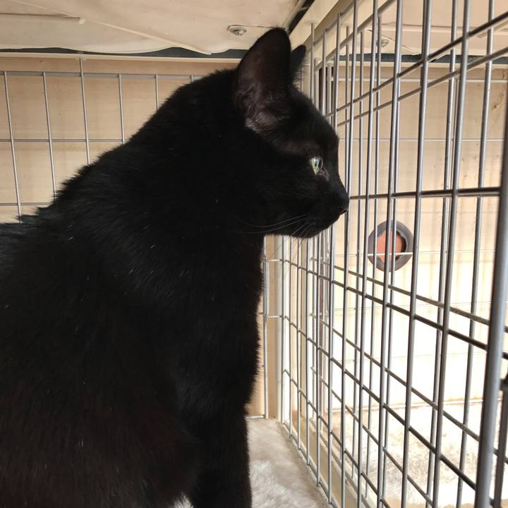 9135147c 2eb6 4546 b421 9a40c8dcf263