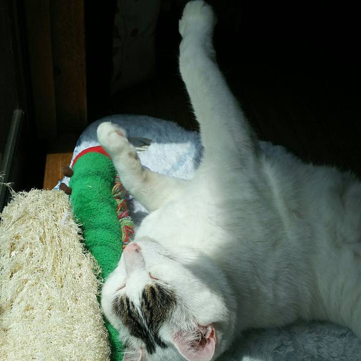 91358adb 2d76 4f29 9067 24f2966b7d03