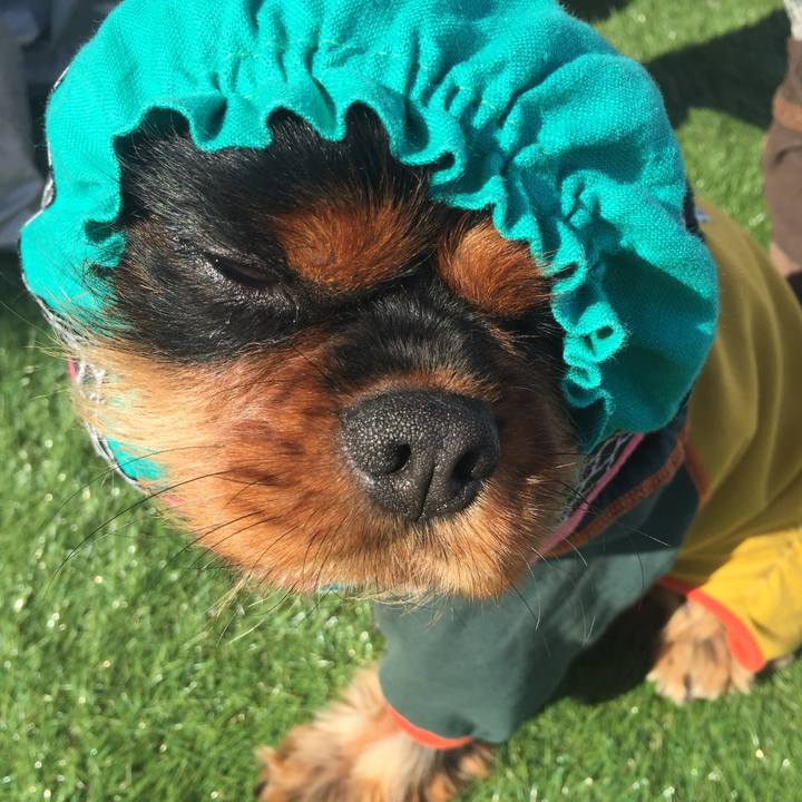 9135a2a6 0285 4e1a 969c f87e6dbc4b99