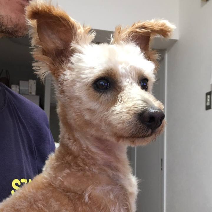 91360f02 f91b 4037 8792 52b352de077f