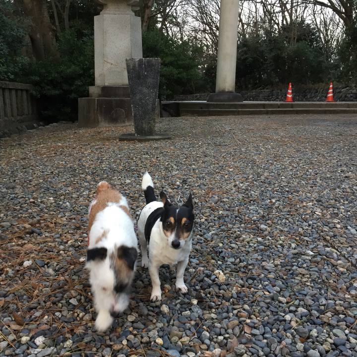 913637df 5cf1 4496 8275 28c871207000