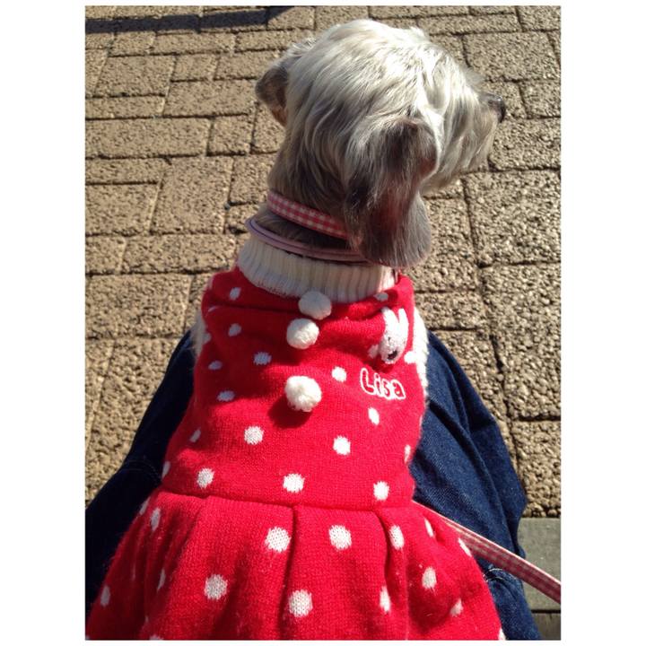 91368794 7d20 4e22 8b49 7f394f9349de