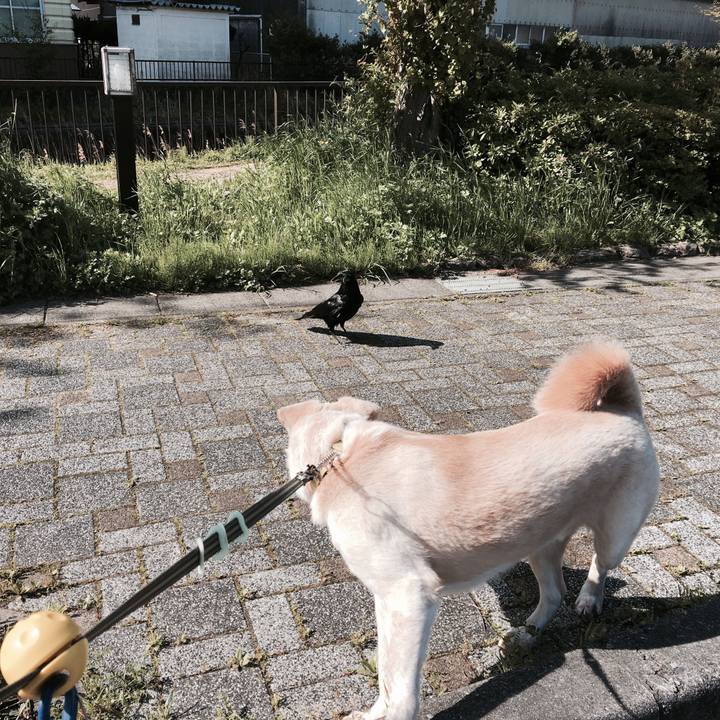 913695eb c389 4285 850c 30650ac076ad