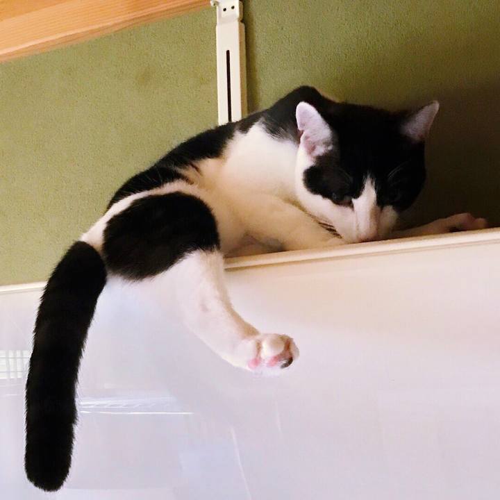 913774ca 7133 44fc 8361 bffe9178e337