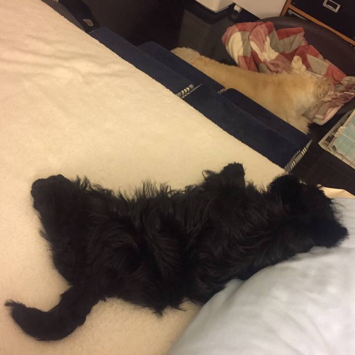 9137b52d 80b6 4542 aca6 22802707f815