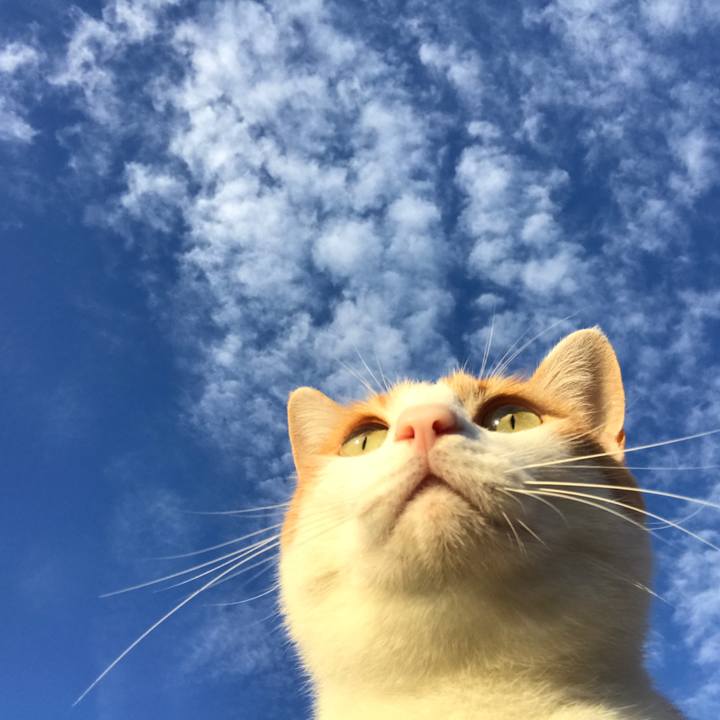 913852a2 1c65 44df 920d 7cd64231d7f3