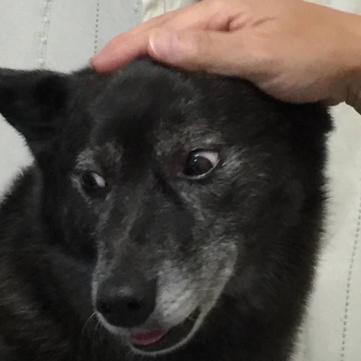 91386434 7b57 4491 b3df 3cce61306985