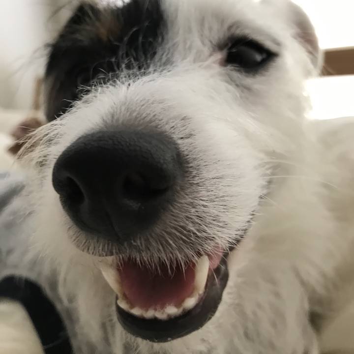 913899d8 cf5f 4781 a00f 0a92eed92e75