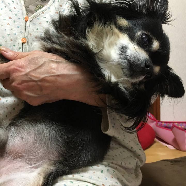 9138bc7f 85a7 4678 8b2f e6b91d462538