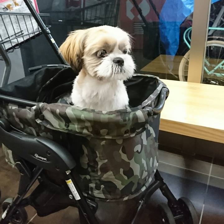 91390ea7 703d 4631 8f7e 4ef832f93b64