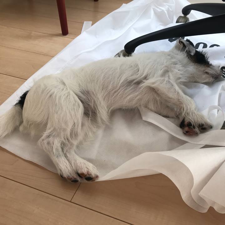 91396373 b435 42fc bd09 854dd704f202