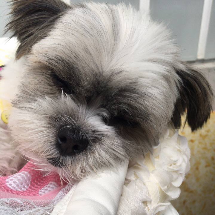 913968aa 558e 44ea 9f98 9a36e8d1b30a