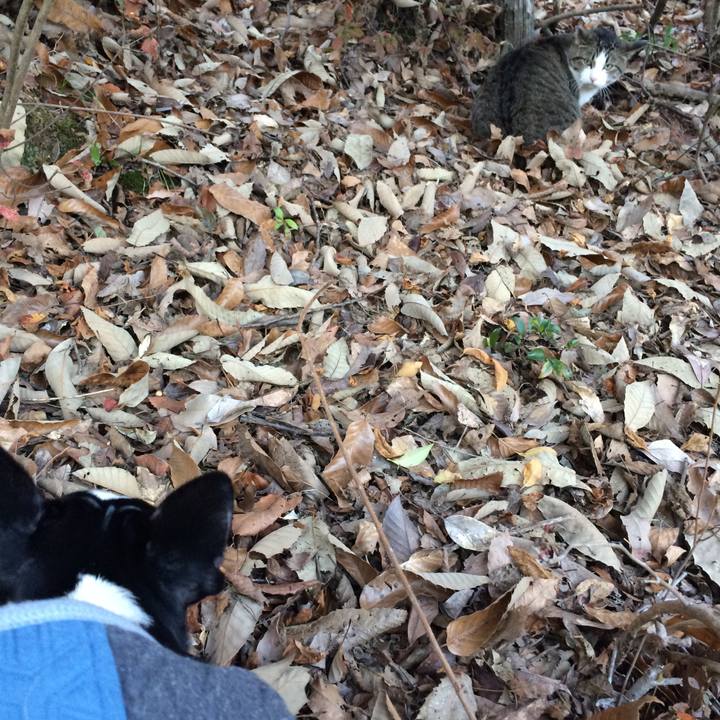 9139c804 0a71 4f3d 8f3c 9d02e0330dc1