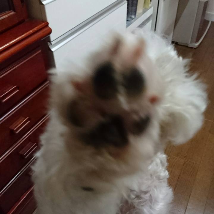 9139d7e4 cabd 415b b7e8 b45f12c9526b