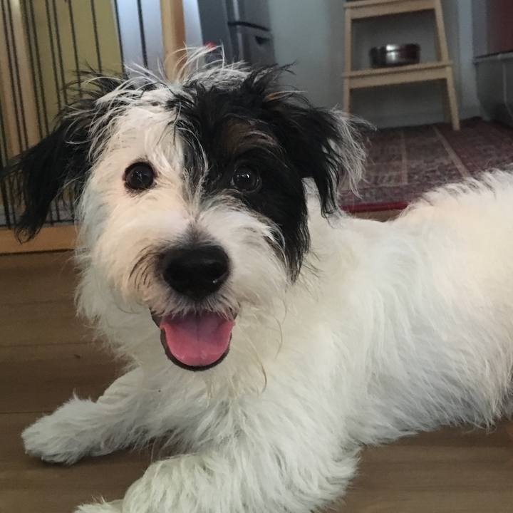 9139e896 1778 4016 8759 7ca86fab9437