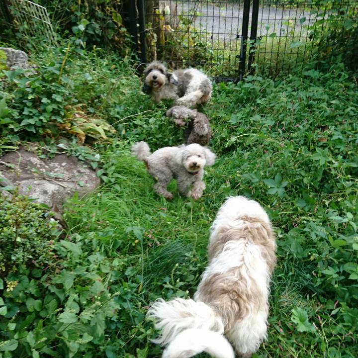 913a9e64 1a2f 42a1 bcc4 c21d0ec2bf7a