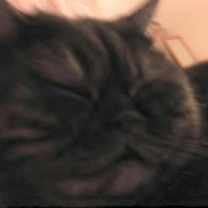 913addeb 400b 48d2 ac0d 1a8762a9fea1