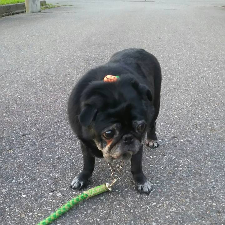 913b2302 aca0 45fb 9d02 500924339a4c