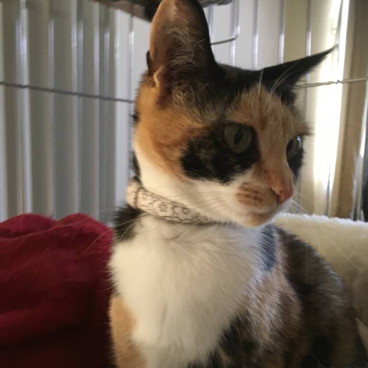 913b766d 823e 4e7d bfe7 73d2d4da31f3