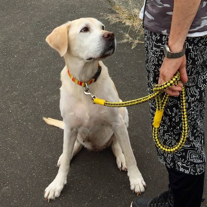 913b87ff f51c 4030 a014 aa489f53a847