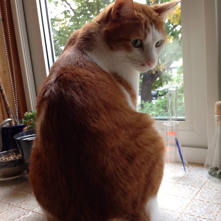 913bf96c d774 46f7 a5a8 e817b1cc476d