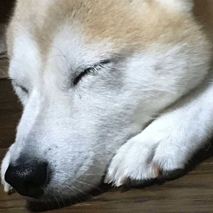 913c7ff6 fc20 4106 924a 3b9e9e009ad7