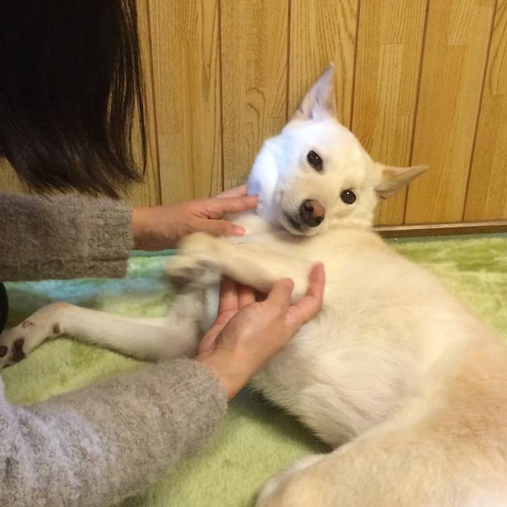 913cd5b9 f194 450f 935a cf815201fc6e