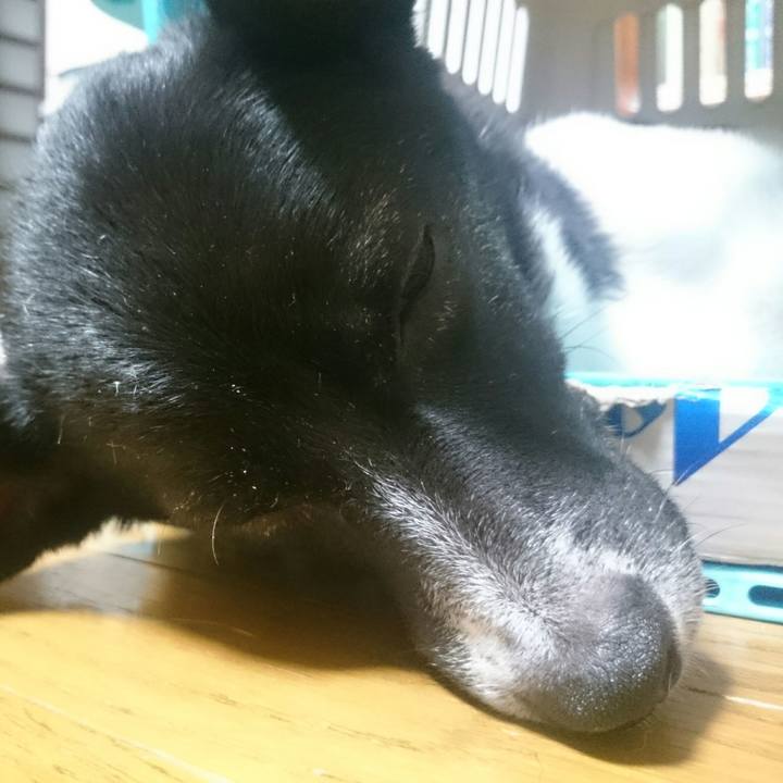 913d094a 0d97 4f30 8231 7c0ff7ed7147