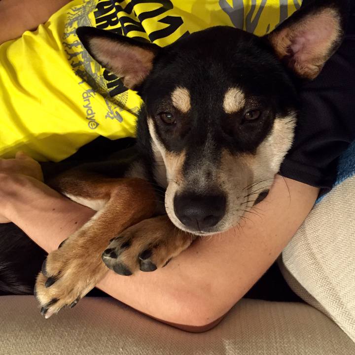 913e66bb 6eef 4eb1 addb 8c1896e284c0