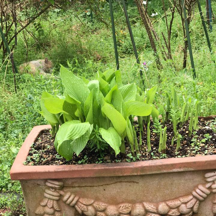 913ed7cf c17f 4fc0 910b 686ee01c64fa