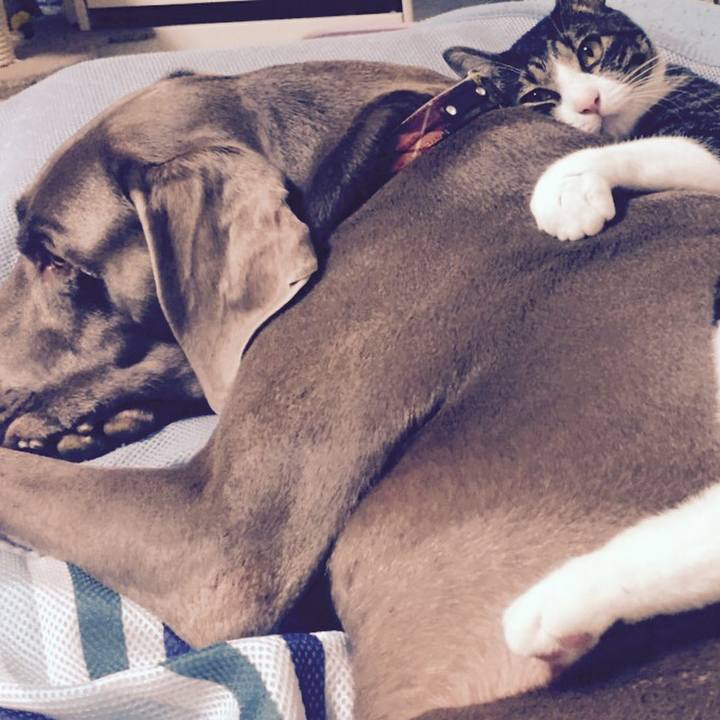 913f5ab2 4895 4067 a913 a713377c8be5