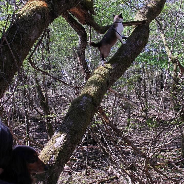 91404d24 c537 47c6 9a36 1bc0ea41bef3