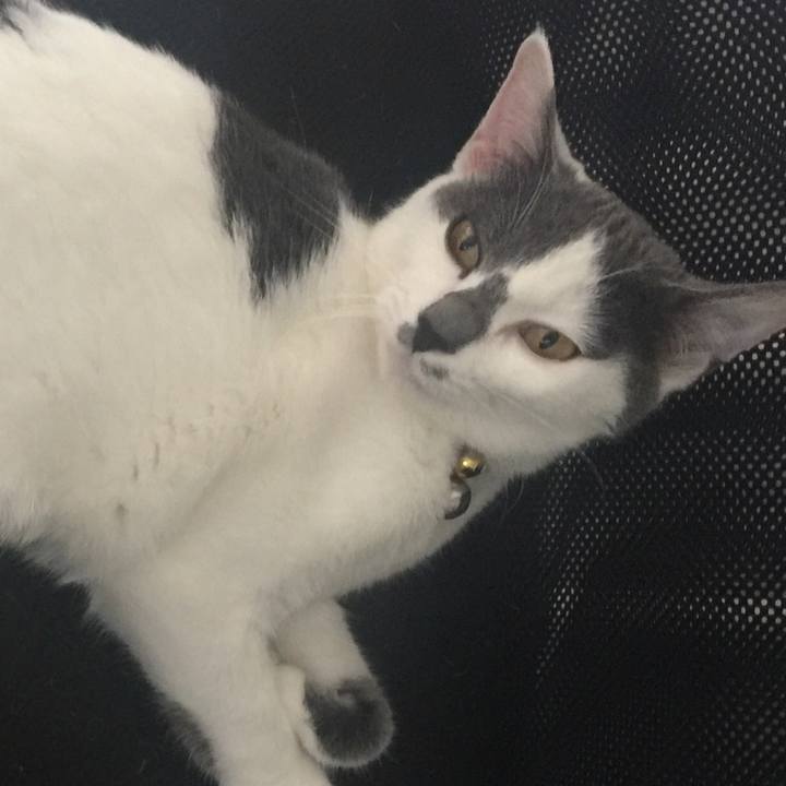 91415d95 25d5 4d00 9ebc 4c7e31578cbc