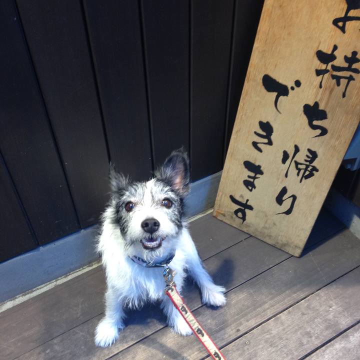 914252b3 20eb 4f19 afc3 51d8fea77912