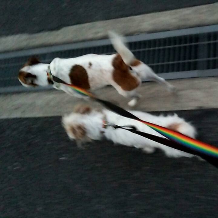 9142d9cc ade1 45cc 9295 e990f6165d36