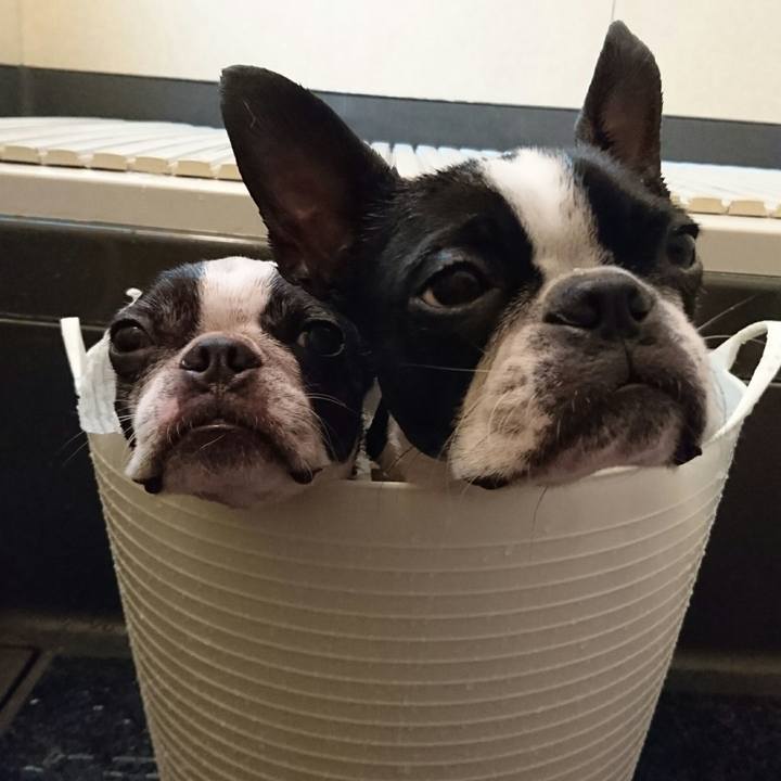 914301e2 a1e7 477c bc1a cee7aab36eec