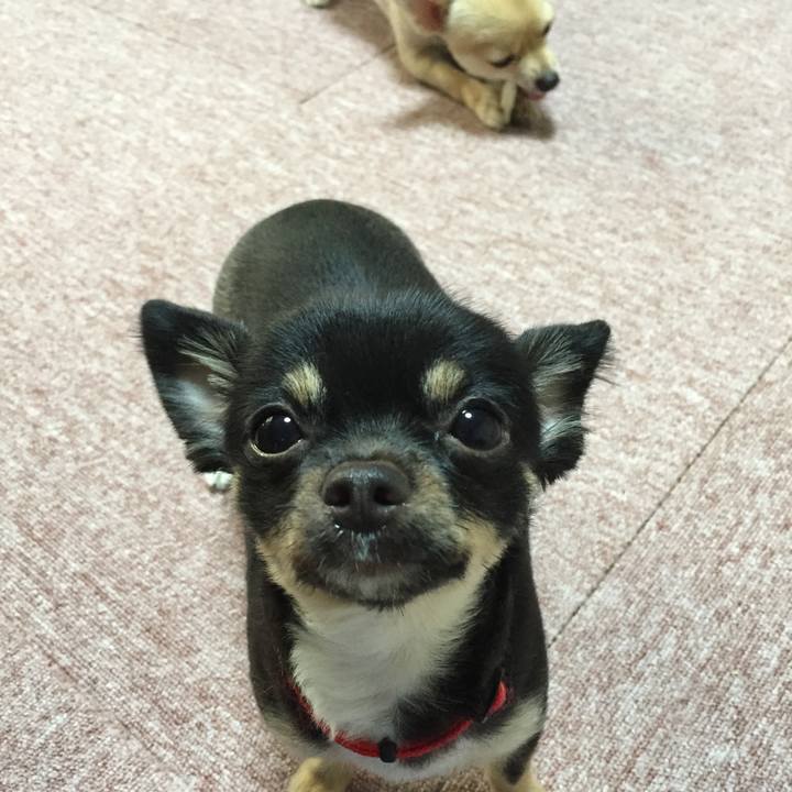 91433729 e574 4bb8 9479 d66a9959f89f