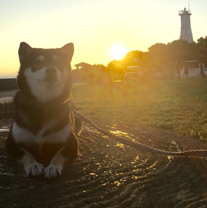 91433ed8 fcfb 4dcd ba35 17f5b806fbf7